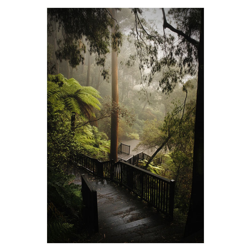 DANDENONG WOOD STEPS