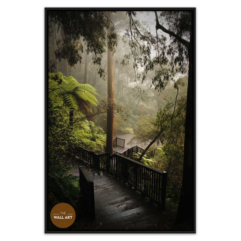 DANDENONG WOOD STEPS