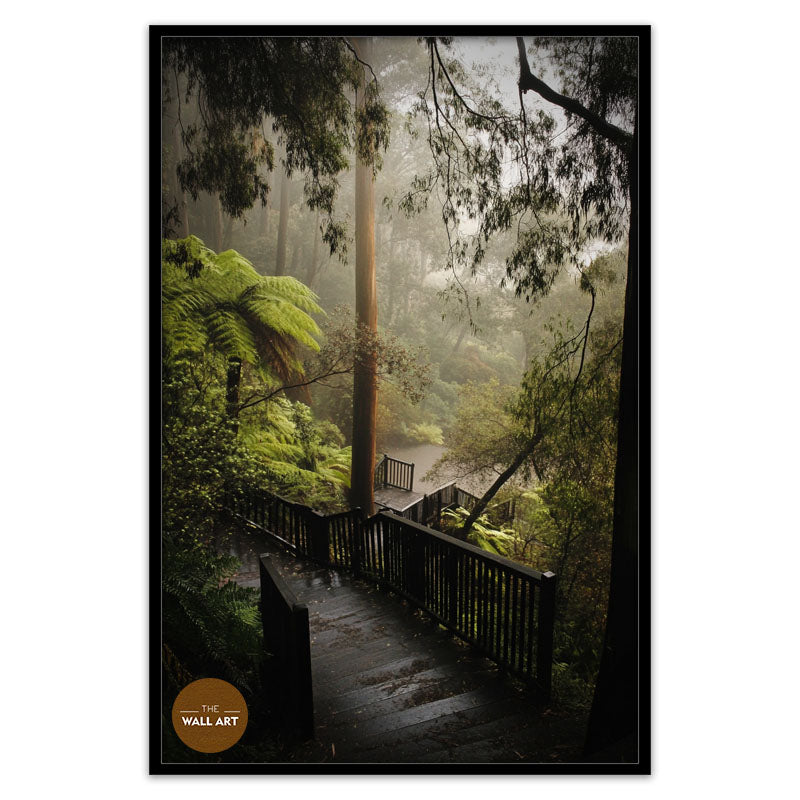 DANDENONG WOOD STEPS