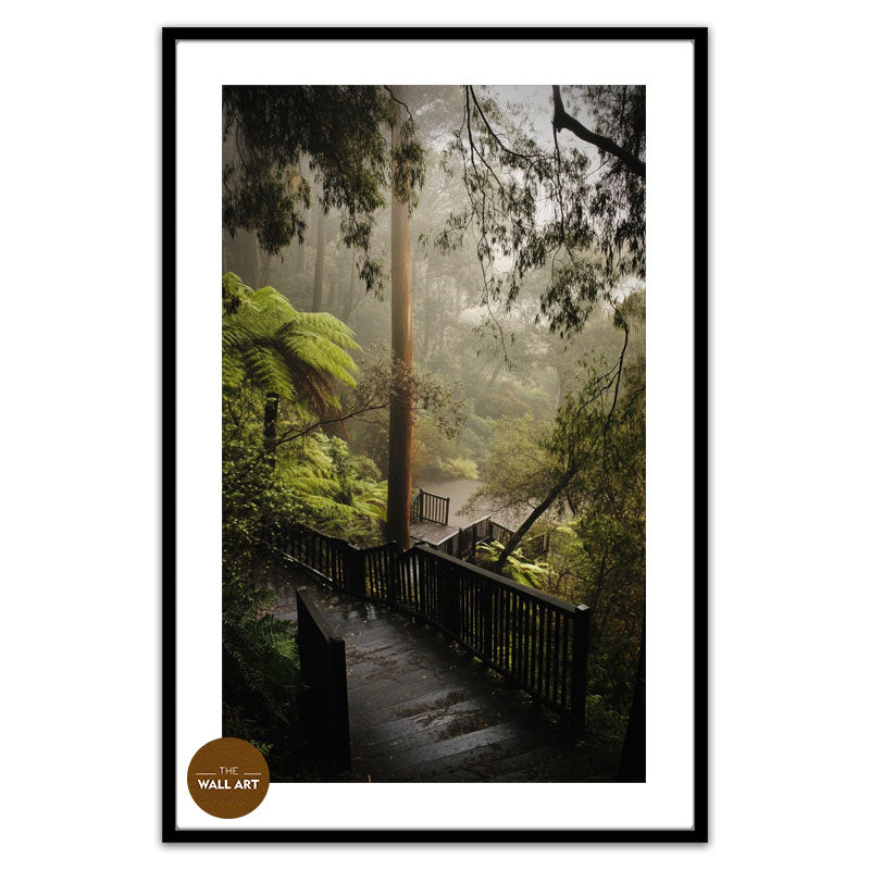DANDENONG WOOD STEPS