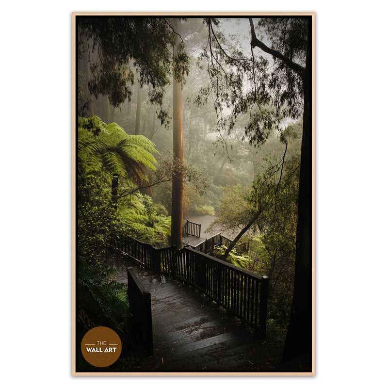 DANDENONG WOOD STEPS