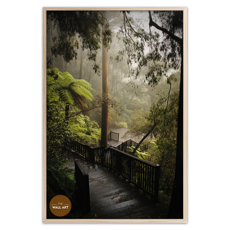 DANDENONG WOOD STEPS