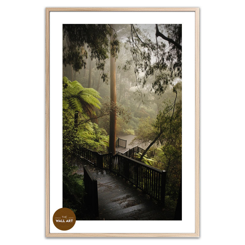 DANDENONG WOOD STEPS