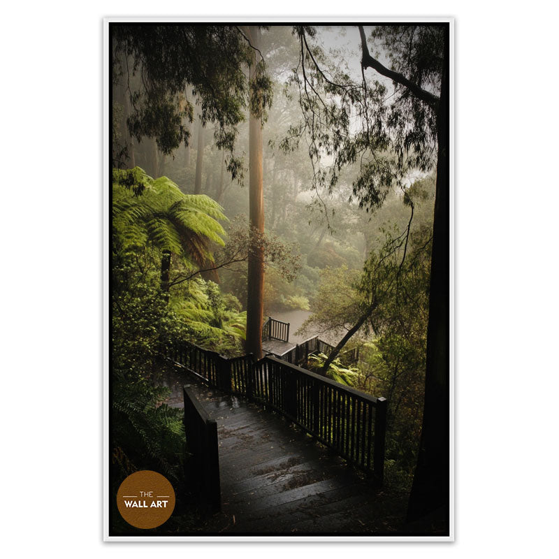 DANDENONG WOOD STEPS