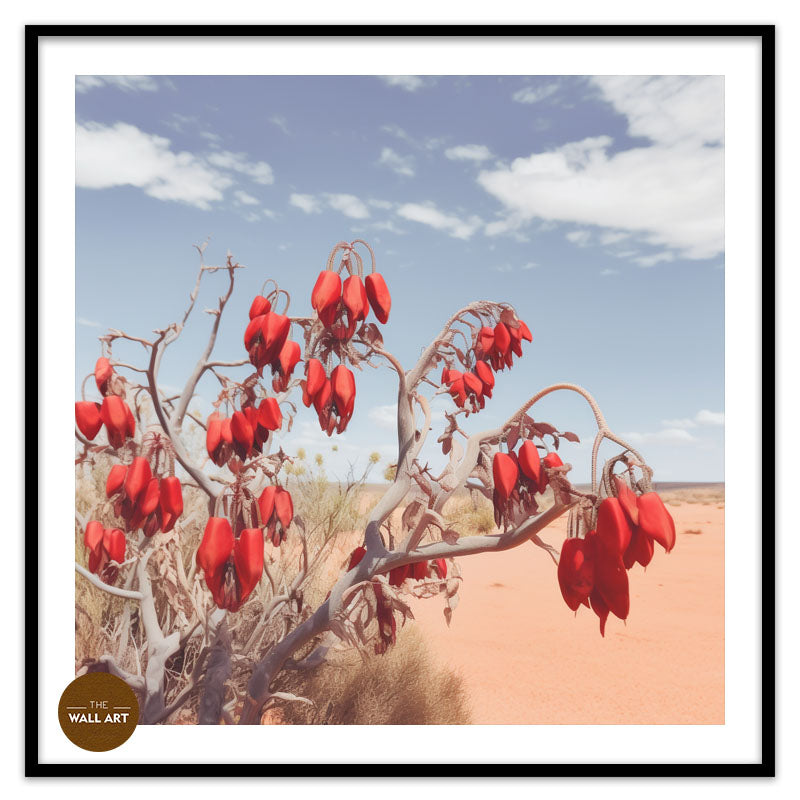 DESERT PEA FLOWERS