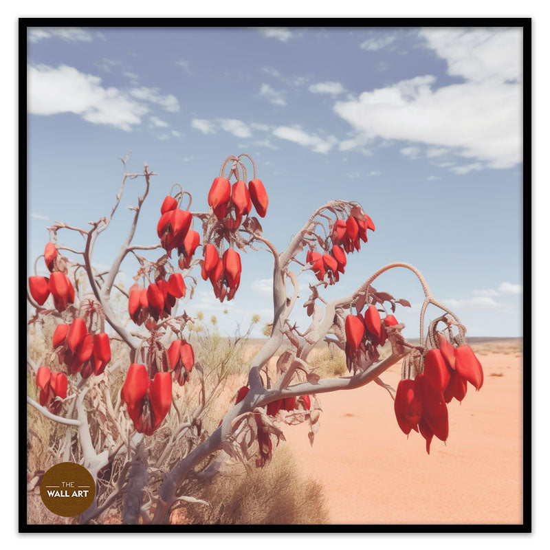 DESERT PEA FLOWERS