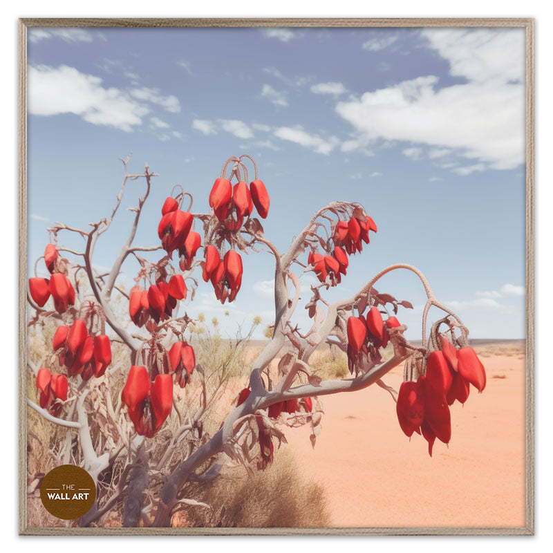 DESERT PEA FLOWERS