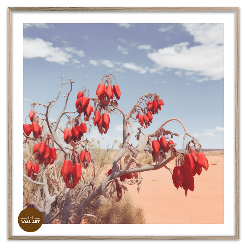 DESERT PEA FLOWERS