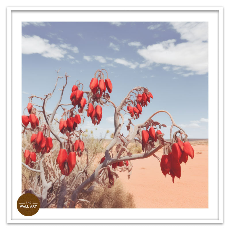 DESERT PEA FLOWERS