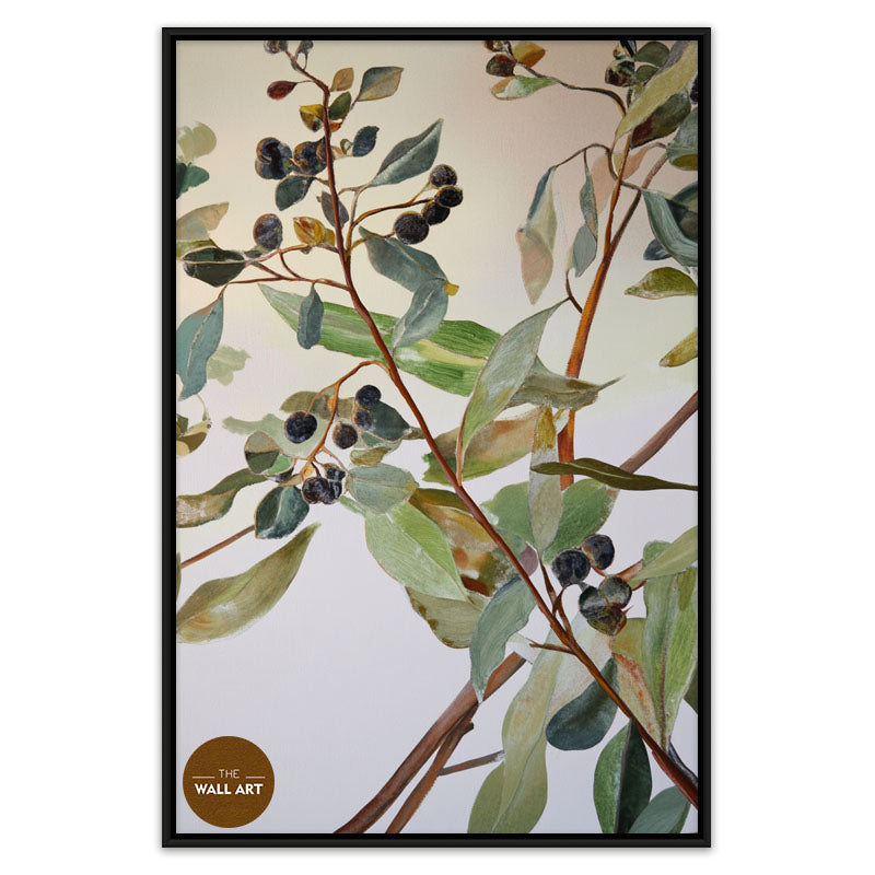 EUCALYPTUS FRUITS
