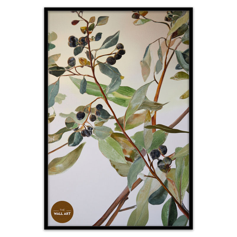 EUCALYPTUS FRUITS