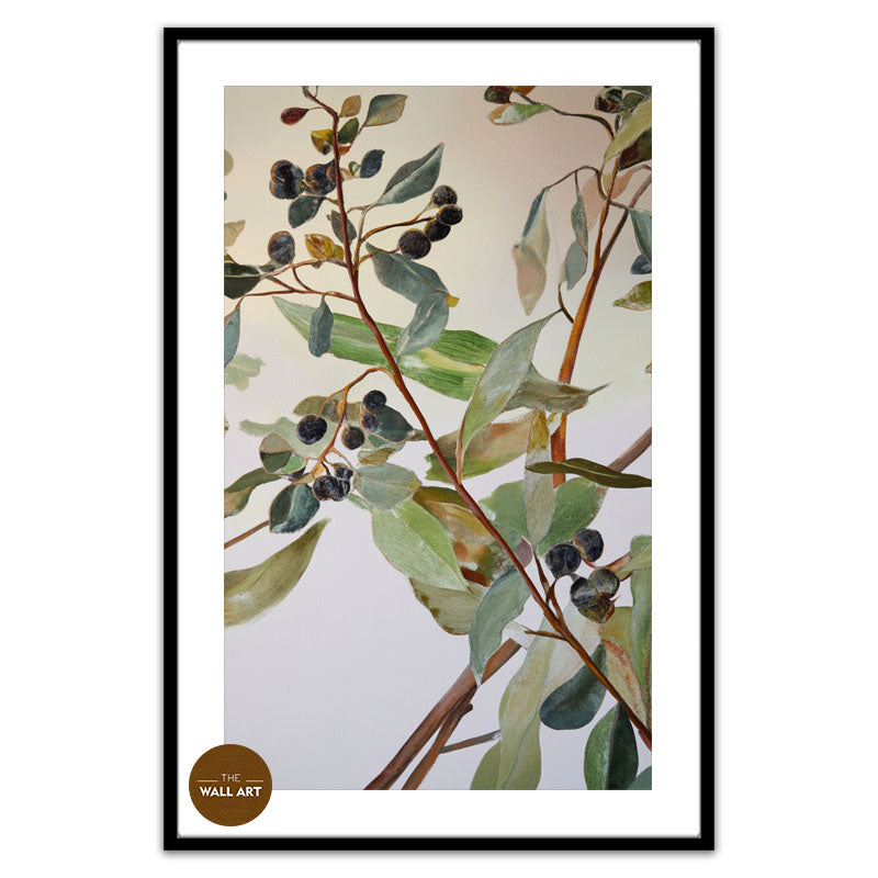 EUCALYPTUS FRUITS