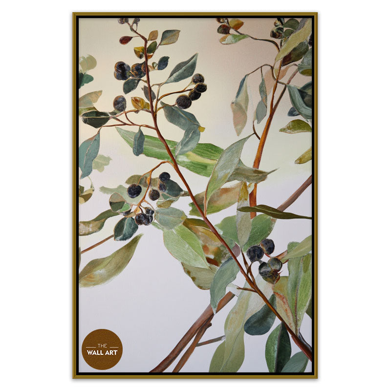 EUCALYPTUS FRUITS