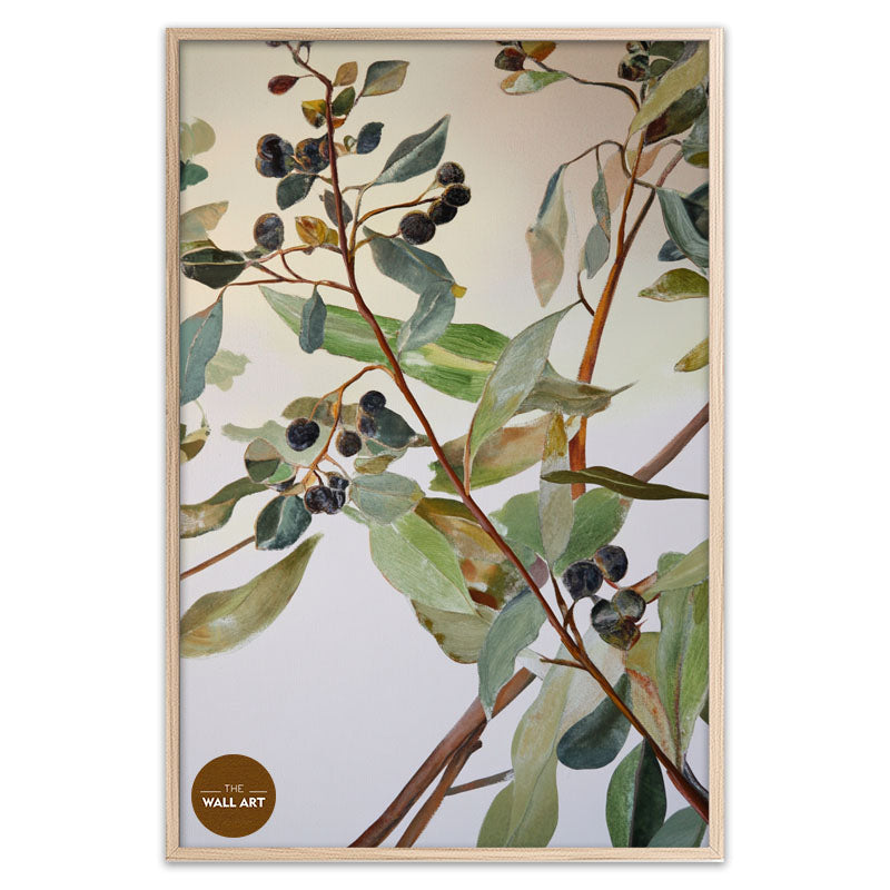 EUCALYPTUS FRUITS