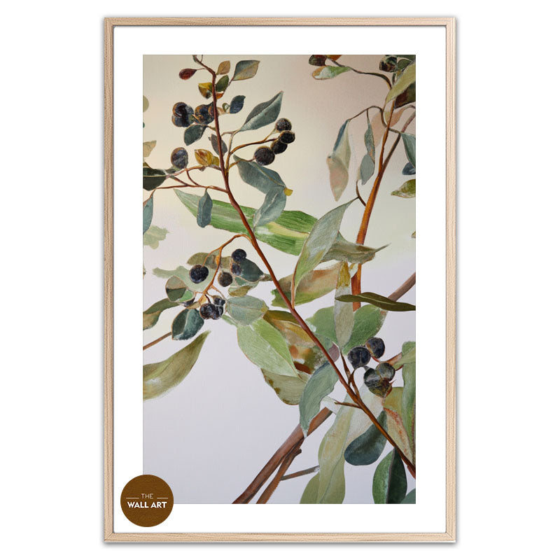EUCALYPTUS FRUITS