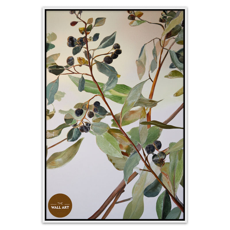 EUCALYPTUS FRUITS