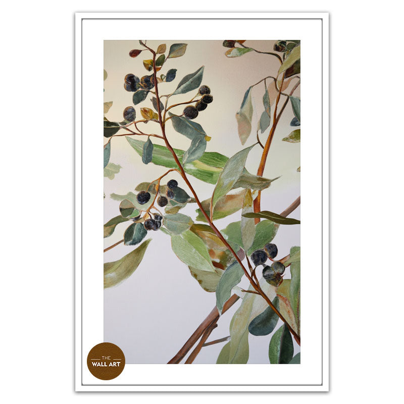 EUCALYPTUS FRUITS