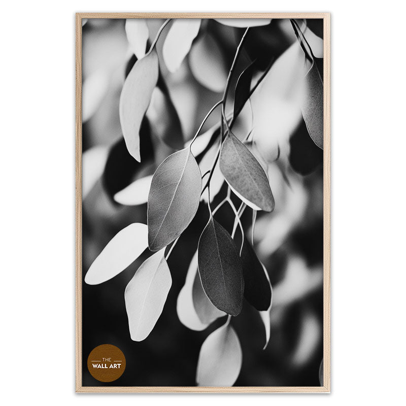 EUCALYPTUS LEAVES BLACK AND WHITE