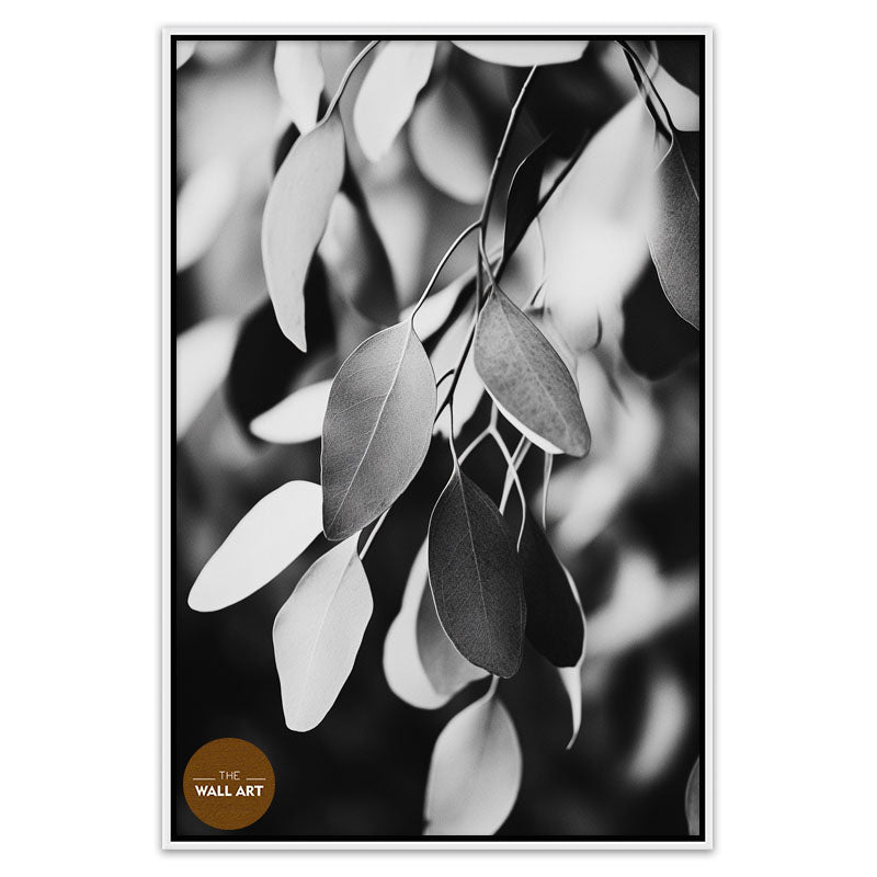 EUCALYPTUS LEAVES BLACK AND WHITE