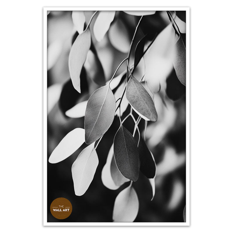 EUCALYPTUS LEAVES BLACK AND WHITE