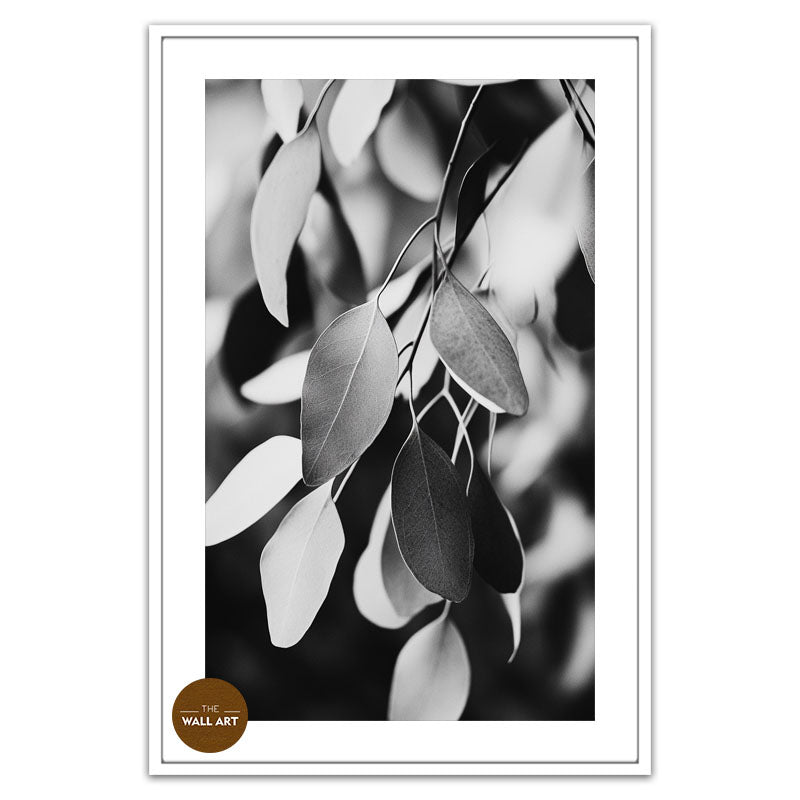 EUCALYPTUS LEAVES BLACK AND WHITE