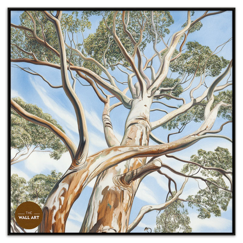 EUCALYPTUS TREE