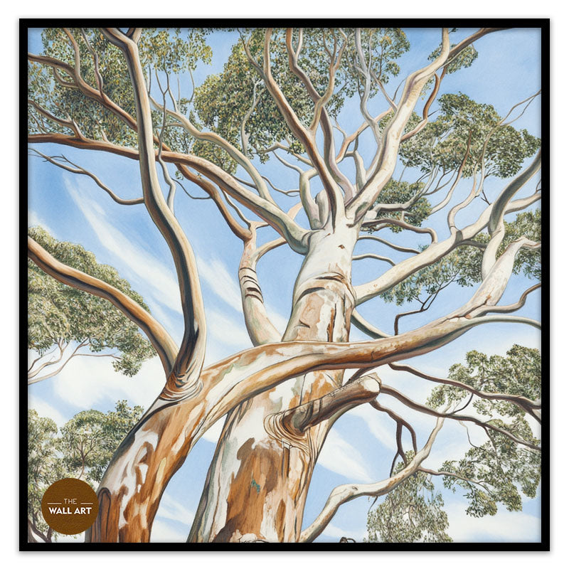 EUCALYPTUS TREE