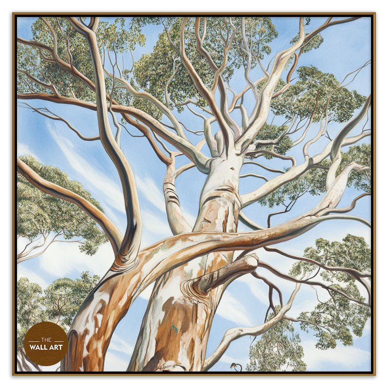 EUCALYPTUS TREE