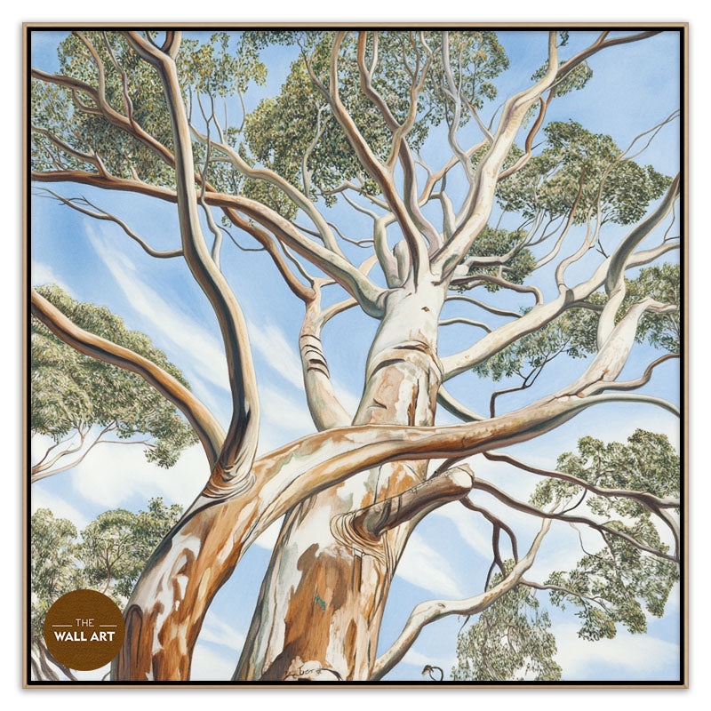 EUCALYPTUS TREE