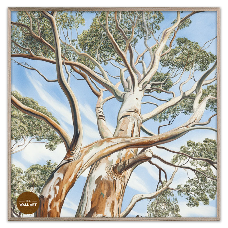 EUCALYPTUS TREE