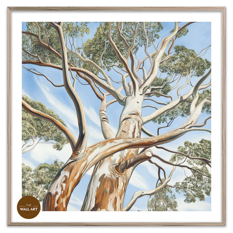 EUCALYPTUS TREE