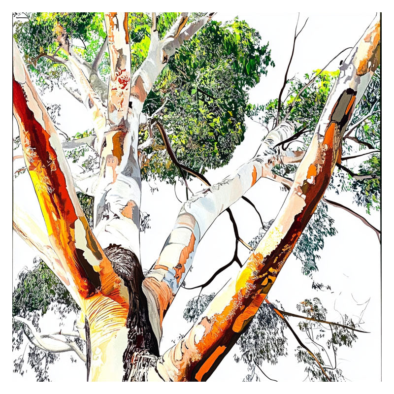 EUCALYPTUS TREE SKIN