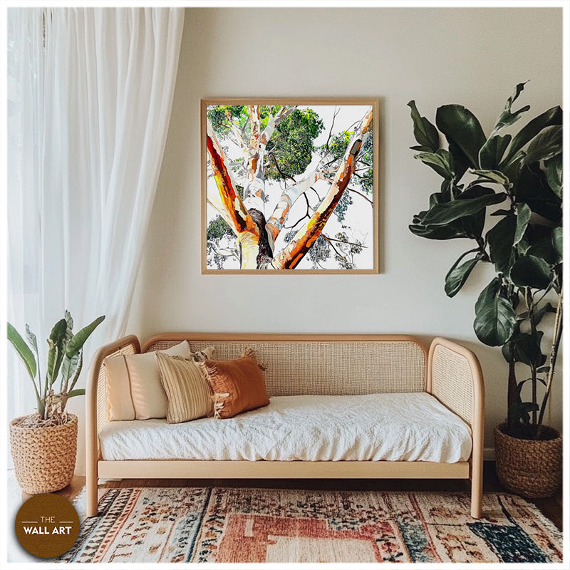EUCALYPTUS TREE SKIN