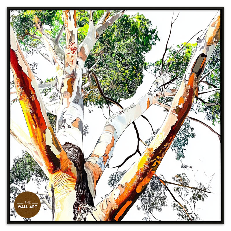 EUCALYPTUS TREE SKIN