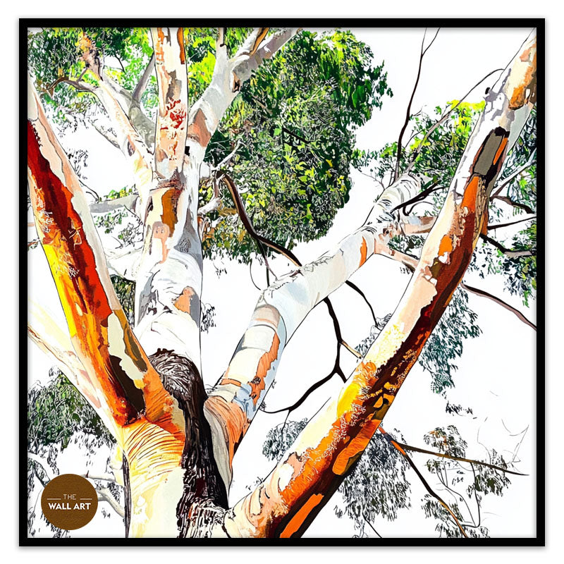 EUCALYPTUS TREE SKIN