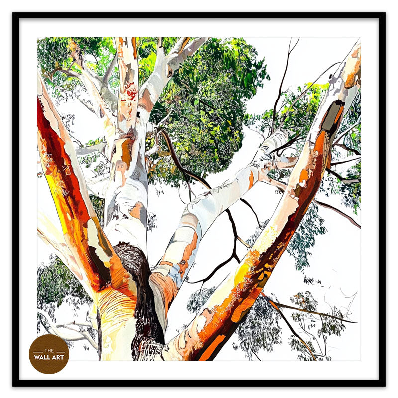 EUCALYPTUS TREE SKIN