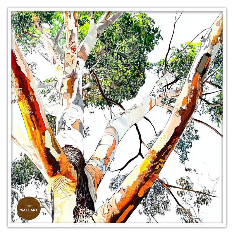 EUCALYPTUS TREE SKIN