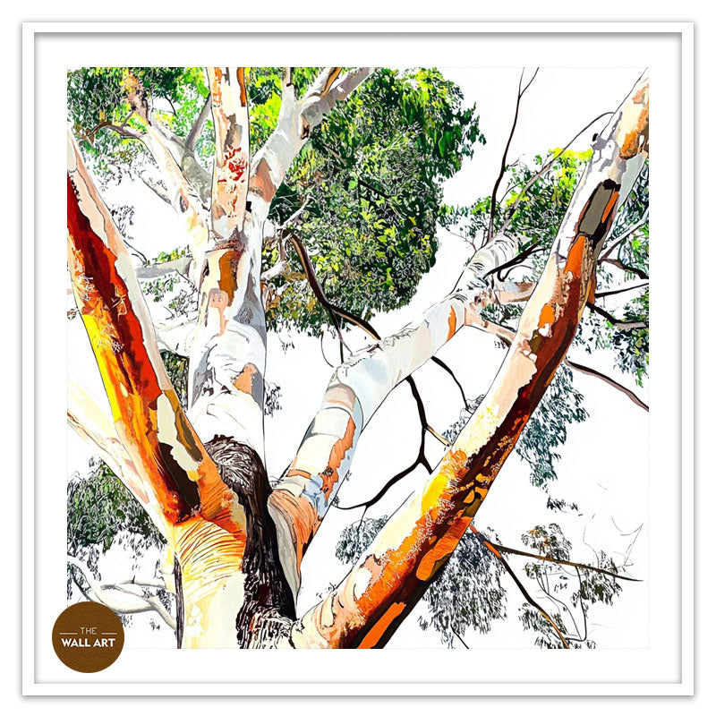EUCALYPTUS TREE SKIN