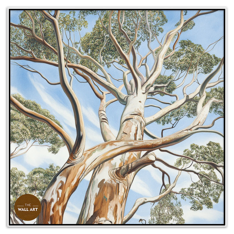 EUCALYPTUS TREE