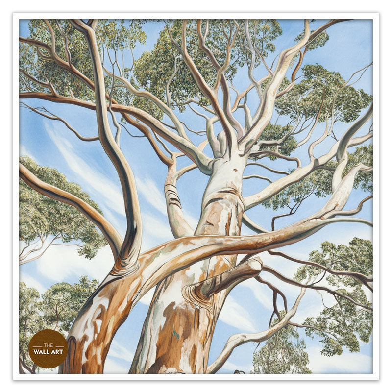EUCALYPTUS TREE