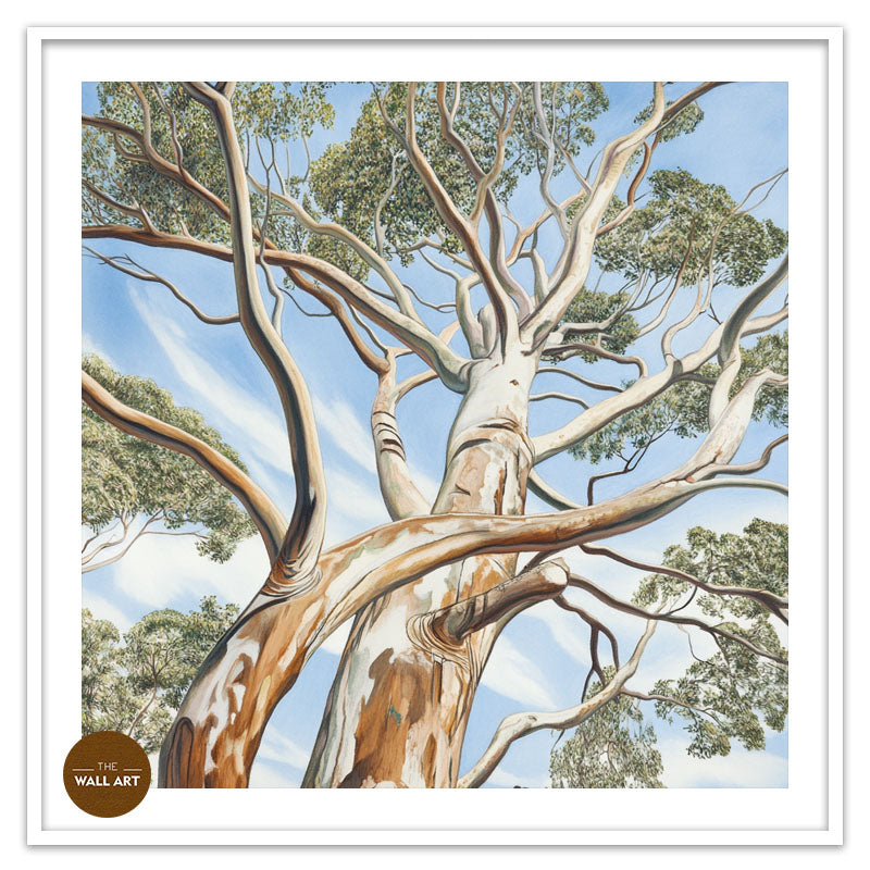 EUCALYPTUS TREE