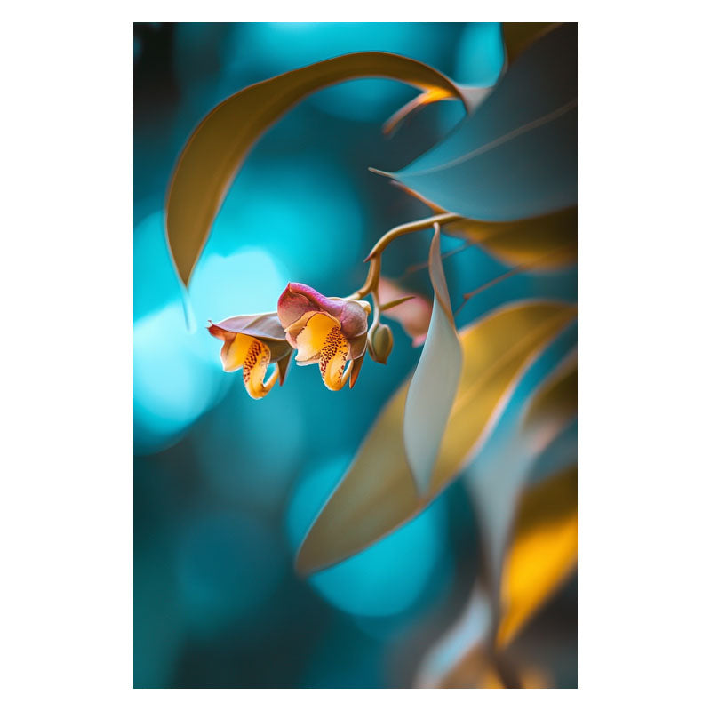 EUCALYPTUS YELLOW FLOWERS