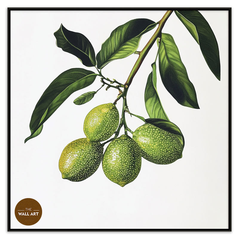 FINGER LIME