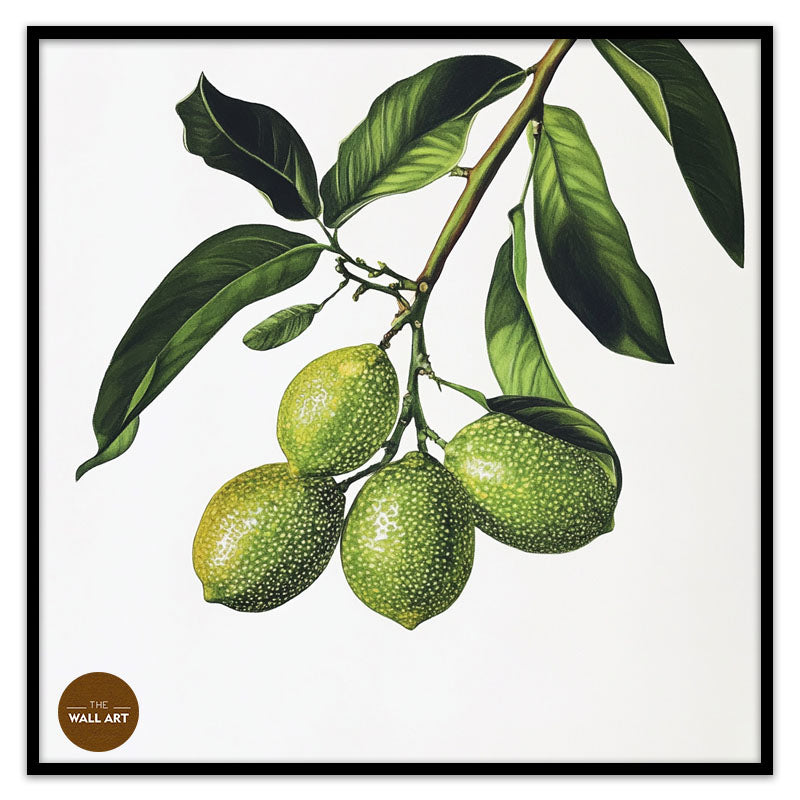 FINGER LIME