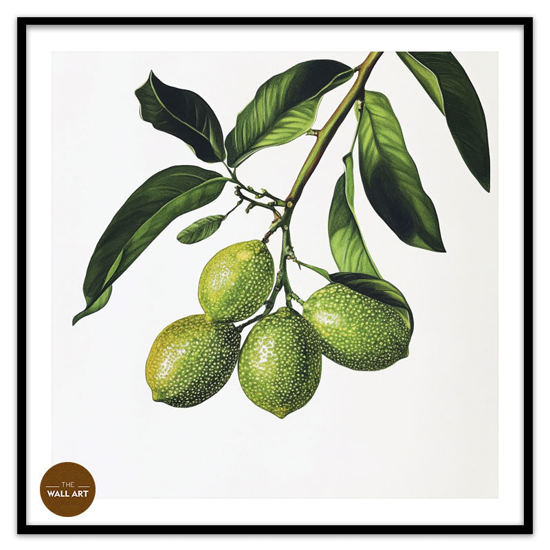 FINGER LIME