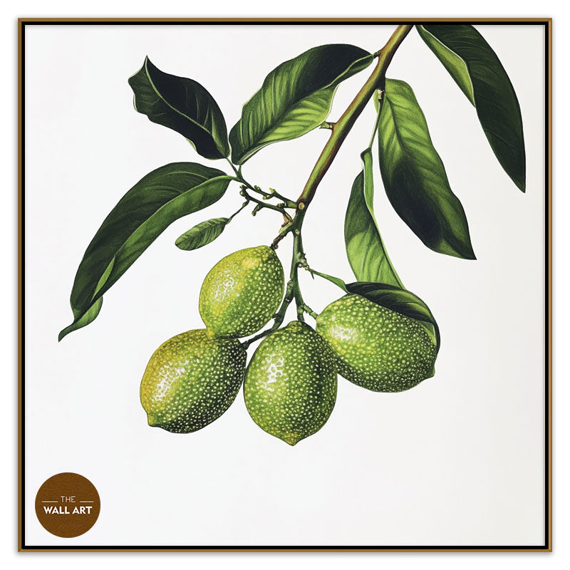 FINGER LIME