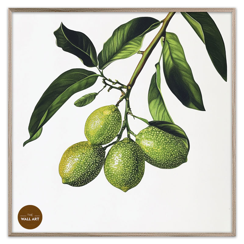 FINGER LIME