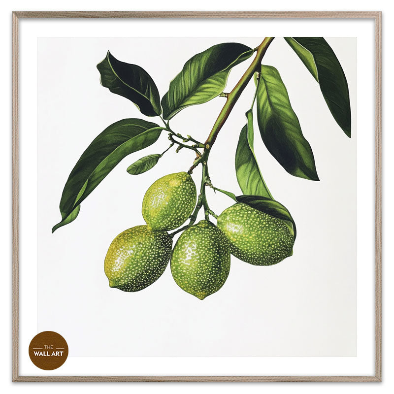FINGER LIME
