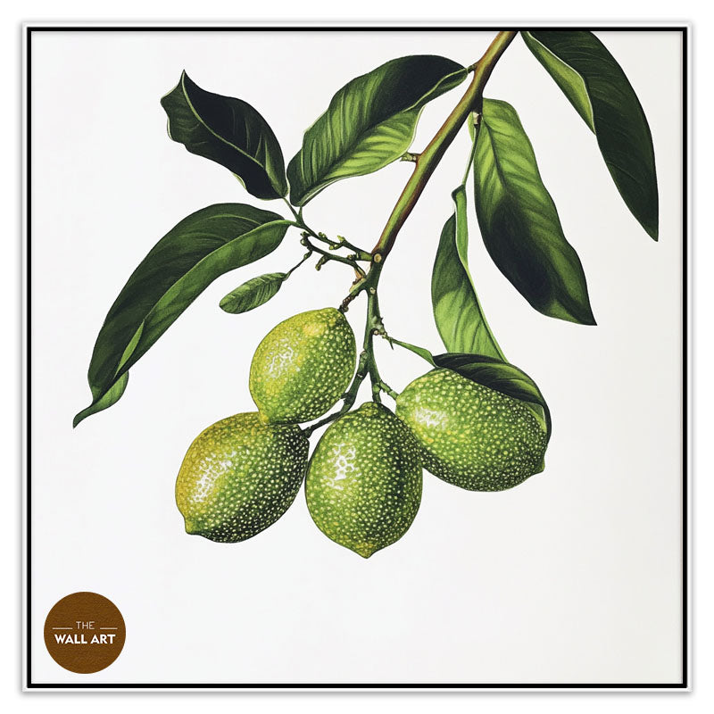 FINGER LIME