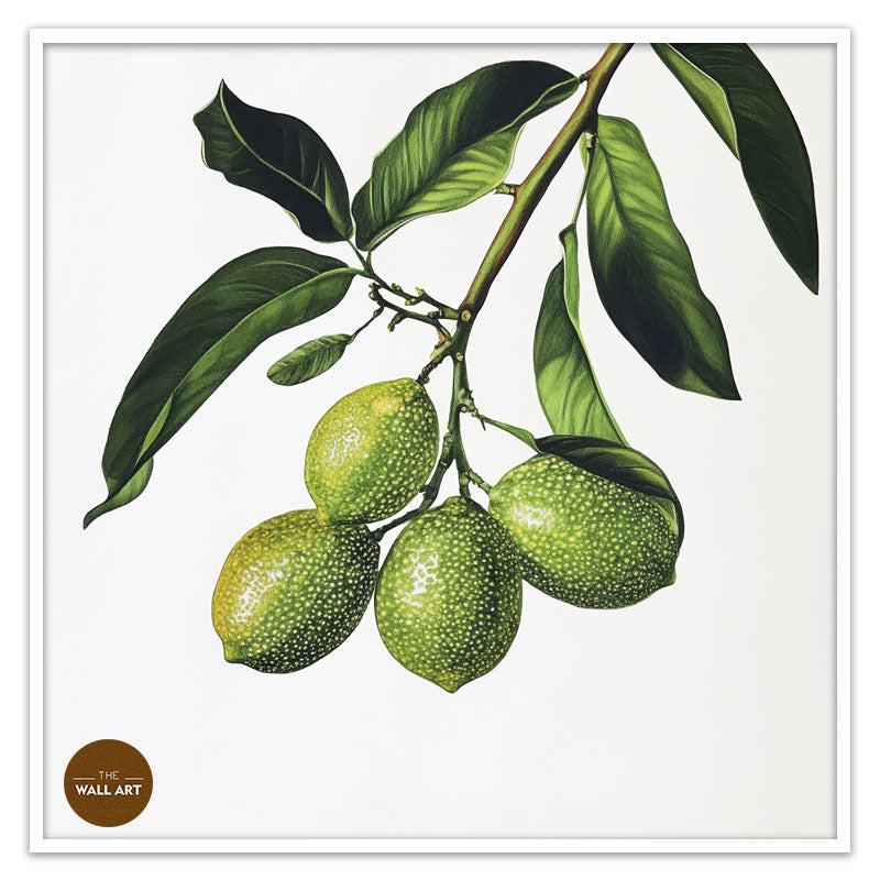 FINGER LIME